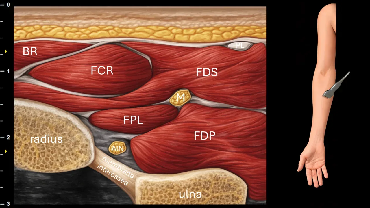 Figure 7 with labels