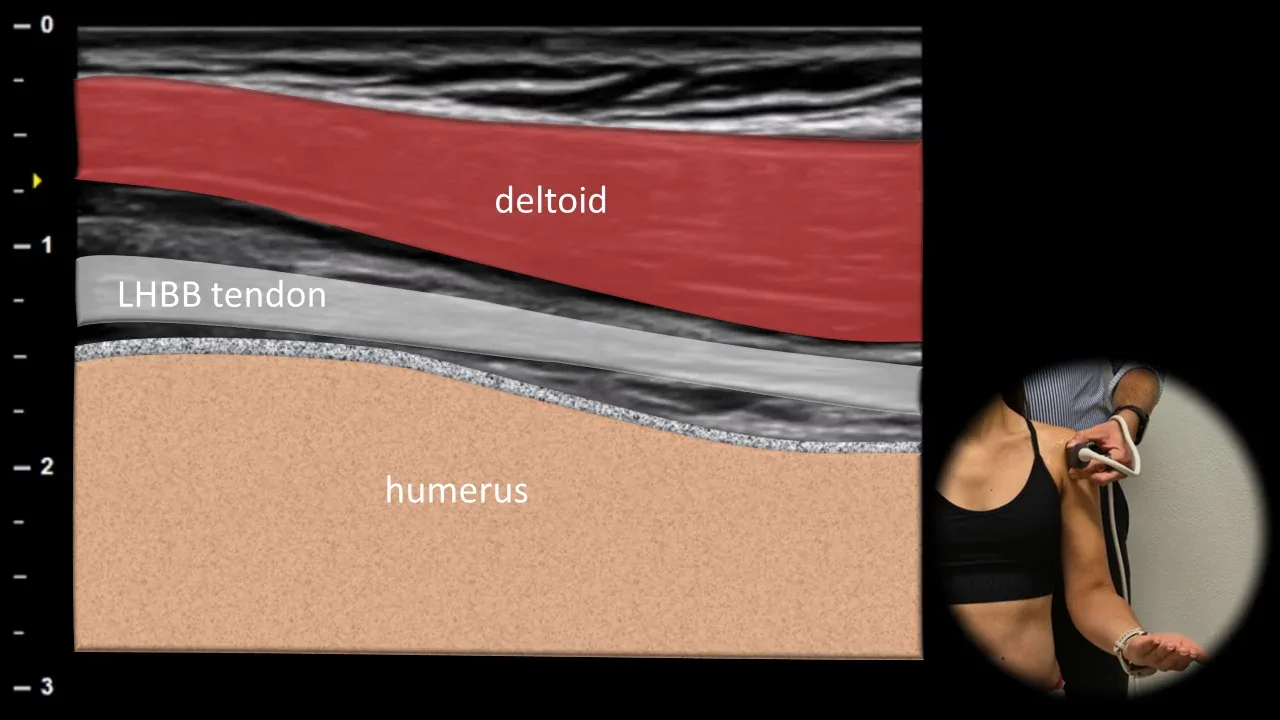 Figure 3 with labels