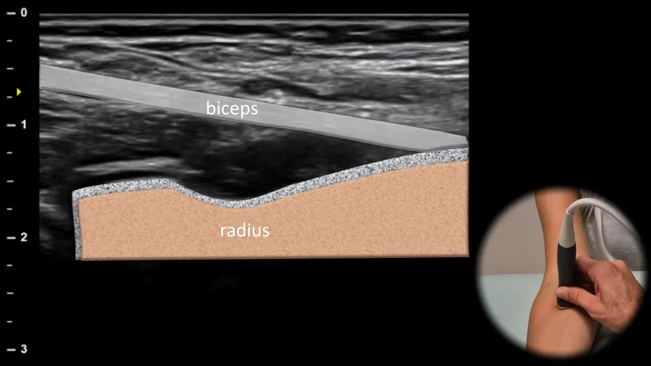 Figure 12 with labels